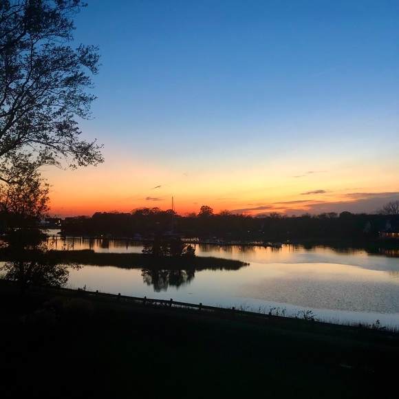 Meet your Posher, Lucie - Picture 1 of 1